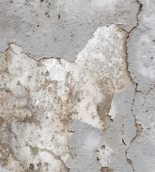 Wasserschadensanierung in Berlin  Schluss mit nass img